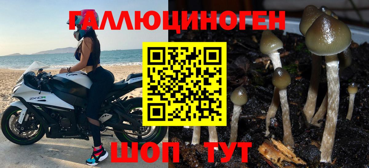 Псилоцибиновые грибы Magic Shrooms  Вход с VPN  Людиново  Галлюциногенные грибы мицелий 