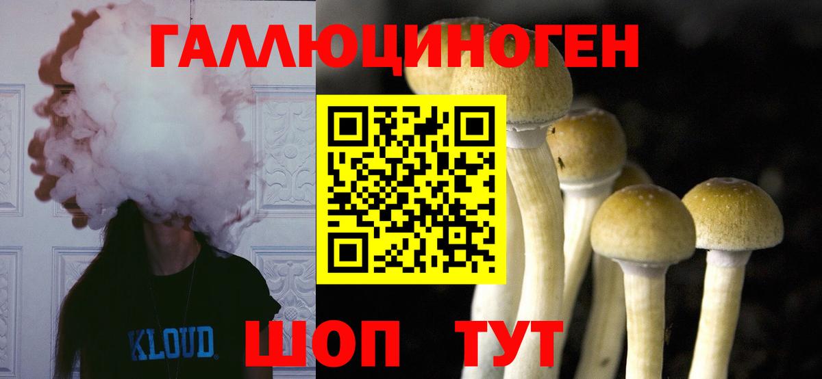 Псилоцибиновые грибы GOLDEN TEACHER Людиново